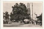 ARNHEM VELPERPLEIN MARTINUSKERK TROLLEYBUS VOLK ZEBRAPAD, Verzamelen, Ansichtkaarten | Nederland, Ophalen of Verzenden, 1940 tot 1960