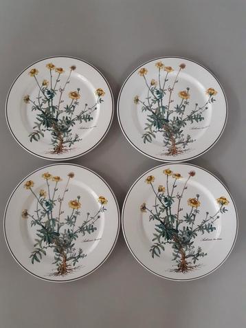 Dinerborden 24 cm Villeroy en Boch Botanica, 12 beschikbaar  beschikbaar voor biedingen