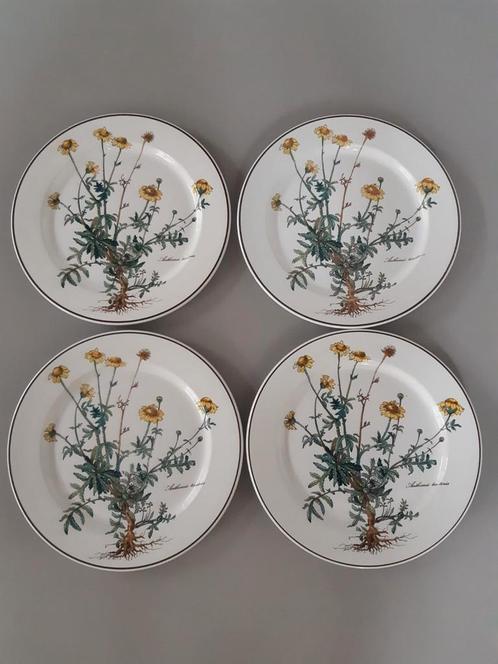 Dinerborden 24 cm Villeroy en Boch Botanica, 12 beschikbaar, Huis en Inrichting, Keuken | Servies, Zo goed als nieuw, Bord(en)