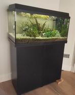 Juwel Primo 110 liter Aquarium met veel extra's, Dieren en Toebehoren, Vissen | Aquaria en Toebehoren, Zo goed als nieuw, Ophalen