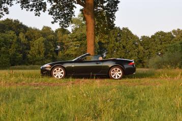 Jaguar XK 3.5 V8 Convertible - Botanical Green - 94.531km -  beschikbaar voor biedingen