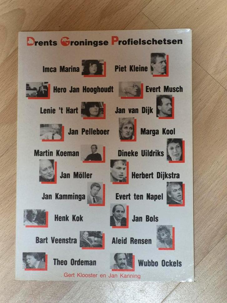 Drents Groningse Profielschetsen, Boeken, Streekboeken en Streekromans, Ophalen of Verzenden