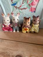 sylvanians families, Ophalen of Verzenden, Zo goed als nieuw, Poppenhuis