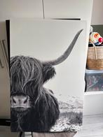 Schilderij: Imposante Schotse Hooglander, Huis en Inrichting, Woonaccessoires | Schilderijen, Tekeningen en Foto's, Ophalen, Zo goed als nieuw