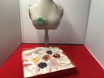 Set donut edelstenen,pi-stones,donuts,spang edelsteen,chakra, Ophalen, Zo goed als nieuw
