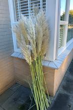 14 pampas pluimen voor €10,00, Huis en Inrichting, Woonaccessoires | Droogbloemen, Ophalen