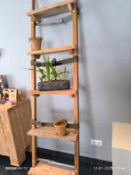 Sier ladder oude schilderstrap, Ophalen