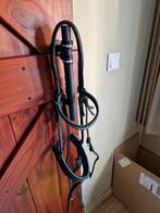 Hoofdstel maat cob, Ophalen of Verzenden, Zo goed als nieuw, Dressuur