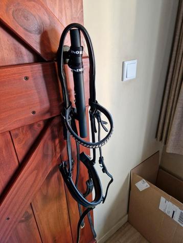 Hoofdstel maat cob beschikbaar voor biedingen