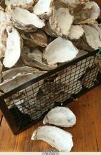 30 oesters voor hobby en decoratie, Ophalen of Verzenden, Zo goed als nieuw, Materiaal