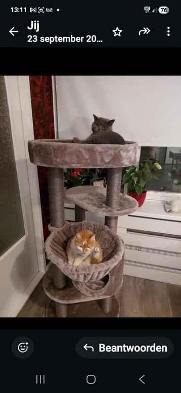 Kattenoppas beschikbaar voor biedingen