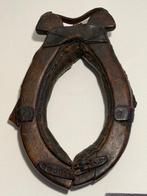 Zeer mooi hondenhaam., Ophalen