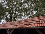 Vlakke muldenpan rood, Ophalen, Gebruikt, Steen of Klei, 15 m² of meer