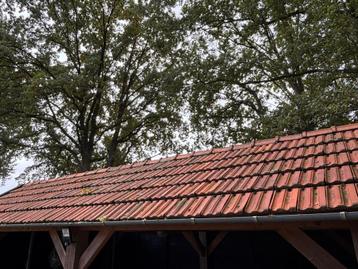 Vlakke muldenpan rood beschikbaar voor biedingen