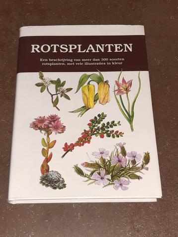 Rotsplanten beschikbaar voor biedingen
