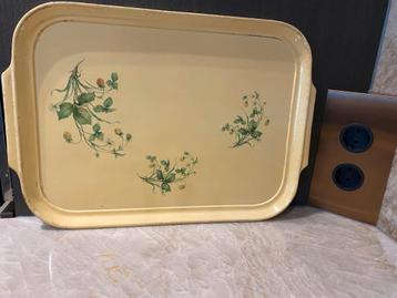 Mooi dienblad met afbeeldingen van aardbeienplanten. beschikbaar voor biedingen