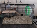 Hok voor muizen of kleine hamster, Minder dan 75 cm, Zo goed als nieuw, Hok, Hamster