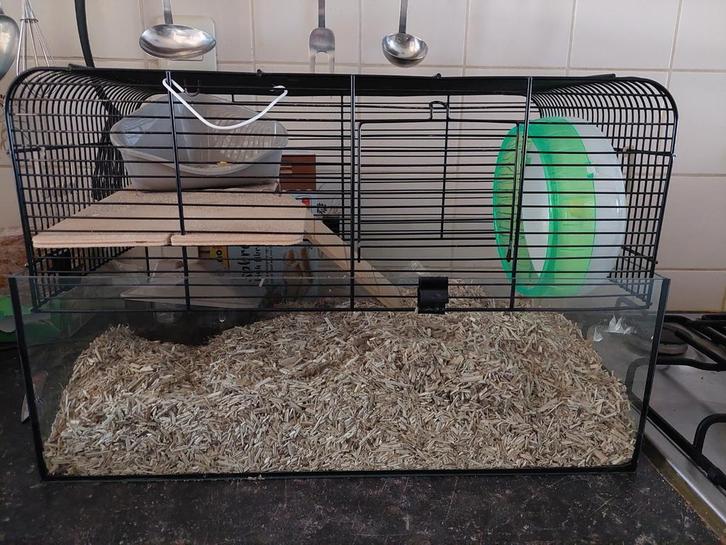Hok voor muizen of kleine hamster, Dieren en Toebehoren, Knaagdieren en Konijnen | Hokken en Kooien, Zo goed als nieuw, Hok, Minder dan 60 cm