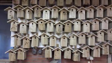 nestkastjes  beschikbaar voor biedingen