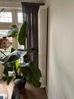 Zehnder ledenradiator Charleston K5220 – 220x44x17,6 cm, Doe-het-zelf en Verbouw, Verwarming en Radiatoren, Ophalen, Zo goed als nieuw