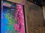 Grote groep corydoras albino, Dieren en Toebehoren, Vissen | Aquaria en Toebehoren, Ophalen, Zo goed als nieuw, Gevuld zoetwateraquarium