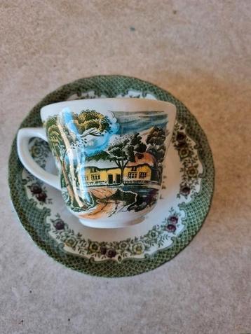  royal Winton, old cottage chintz beschikbaar voor biedingen
