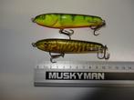 Kunstaas: Salmo Sweeper 10 Sinking Jerkbaits, Verzenden, Gebruikt, Overige typen