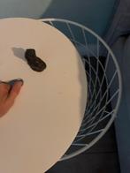 IKEA Nachtkastje / Bijzettafel, Minder dan 45 cm, Minder dan 55 cm, Gebruikt, Metaal of Aluminium