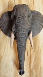 OLIFANTENHOOFD, Ophalen, Nieuw