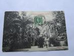 Ansichtkaart Ceylon-Peradeniya Gardens 1914 uitg Skeen Photo, Verzamelen, Ansichtkaarten | Buitenland, Gelopen, Buiten Europa