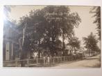 Fotokaart Sint Jacobiparochie 3, Verzamelen, Ansichtkaarten | Nederland, Verzenden, 1920 tot 1940, Gelopen, Friesland