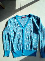 SOMEONE vest maat 128 jongen  kleuren blauw en grijs, Trui of Vest, Ophalen of Verzenden, Zo goed als nieuw, Someone