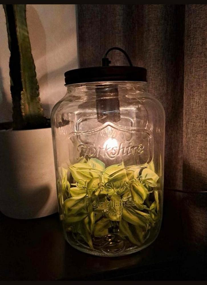 Decoratieve lamp met kunstplanten, Huis en Inrichting, Lampen | Hanglampen, Zo goed als nieuw, Minder dan 50 cm, Glas, Ophalen