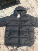 Ralph Lauren Jas - Maat L, Kleding | Dames, Jassen | Winter, Zwart, Maat 42/44 (L), Nieuw, Ophalen of Verzenden