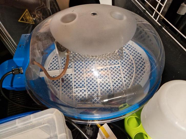 Verhuur broedmachine en toebehoren, Dieren en Toebehoren, Pluimvee, Kip, Geslacht onbekend