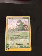 Sceptile holo, Ophalen of Verzenden, Zo goed als nieuw, Losse kaart