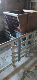 Te koop 4 kraamhokken, Dieren en Toebehoren, Schapen, Geiten en Varkens, Meerdere dieren, Varken