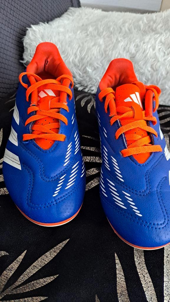 Adidas Predator FxG Maat 36 - Zo Goed Als Nieuw!, Sport en Fitness, Voetbal, Zo goed als nieuw, Ophalen of Verzenden