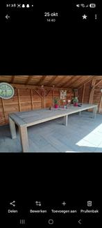 Grote houten tuintafel met 10 comfortabele stoelen, Ophalen, Zo goed als nieuw, Rechthoekig, Hout
