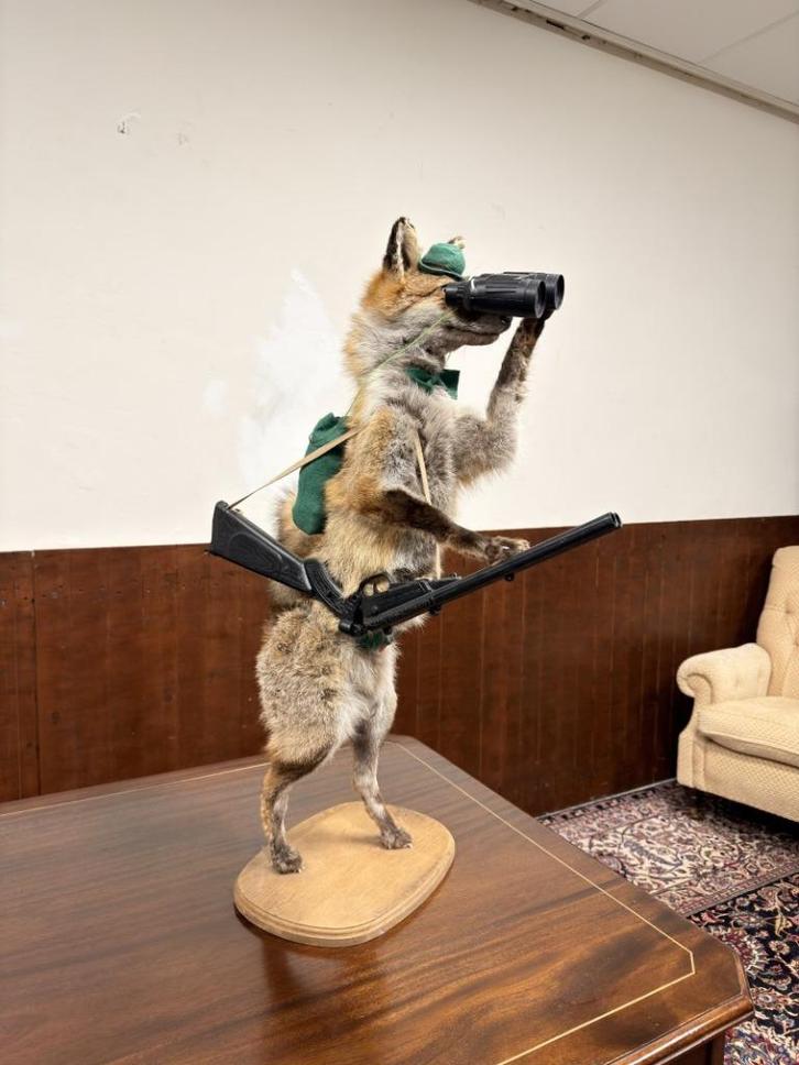 Taxidermie Opgezette Vos als Jager, Antiek en Kunst, Antiek | Kantoor en Zakelijk, Ophalen