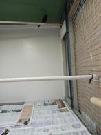 Zwarte sijs, Dieren en Toebehoren, Mannelijk, Tropenvogel