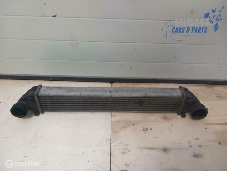 Mercedes A-klasse W169 200 CDI Intercooler A1695000000 04-12, Auto-onderdelen, Motor en Toebehoren, Gebruikt, Ophalen of Verzenden