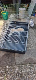 Te koop konijnenhok, Dieren en Toebehoren, Kooi, Konijn, Ophalen, Minder dan 60 cm