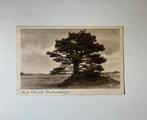 Loenen op de Veluwe, Ophalen of Verzenden, 1920 tot 1940, Gelopen, Gelderland