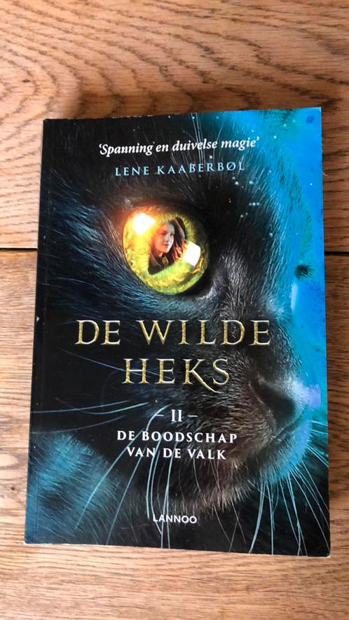 Lene Kaaberbøl - De boodschap van de valk, Boeken, Kinderboeken | Jeugd | 10 tot 12 jaar, Gelezen, Ophalen of Verzenden