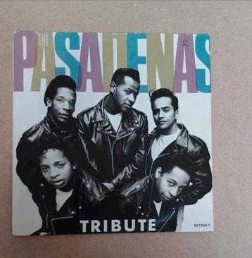Pasadenas - Tribute beschikbaar voor biedingen
