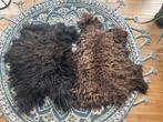 3 schapenvachten met gevilte achterkant, 50 tot 100 cm, Bruin, Vierkant, Nieuw