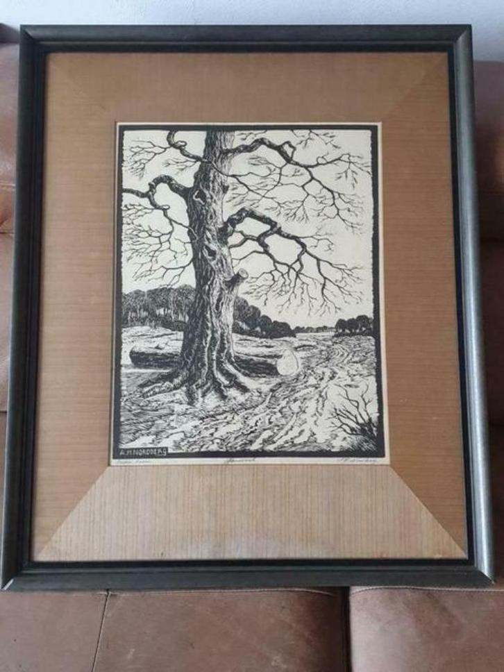Uniek grote Houtsnede A H Nordberg ouden boom., Antiek en Kunst, Kunst | Etsen en Gravures, Ophalen