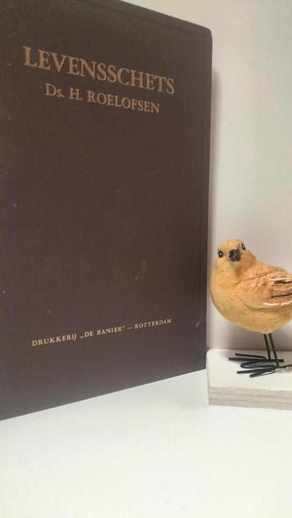 Roelofsen, ds H.; Levensschets, Boeken, Godsdienst en Theologie, Gelezen, Christendom | Protestants, Ophalen of Verzenden