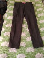 Pierre cardin heren broek, Maat 48/50 (M), Pierre Cardin, Nieuw, Ophalen of Verzenden